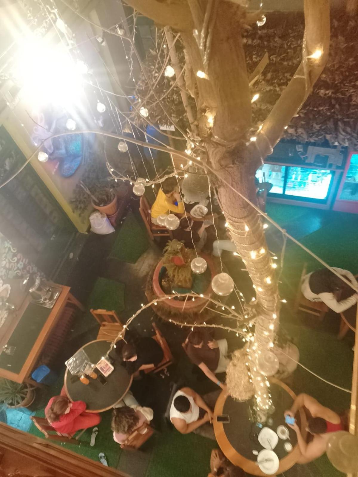 Saint Peter'S Llama Hostal La Paz Kültér fotó