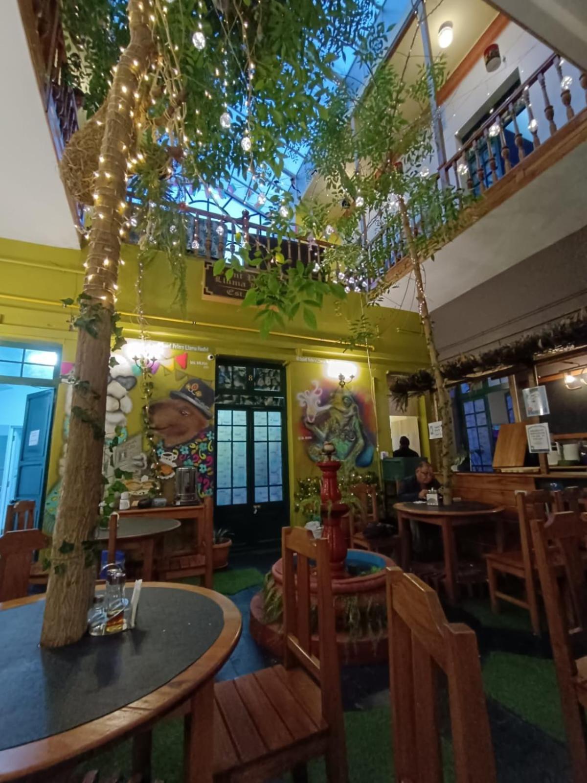 Saint Peter'S Llama Hostal La Paz Kültér fotó
